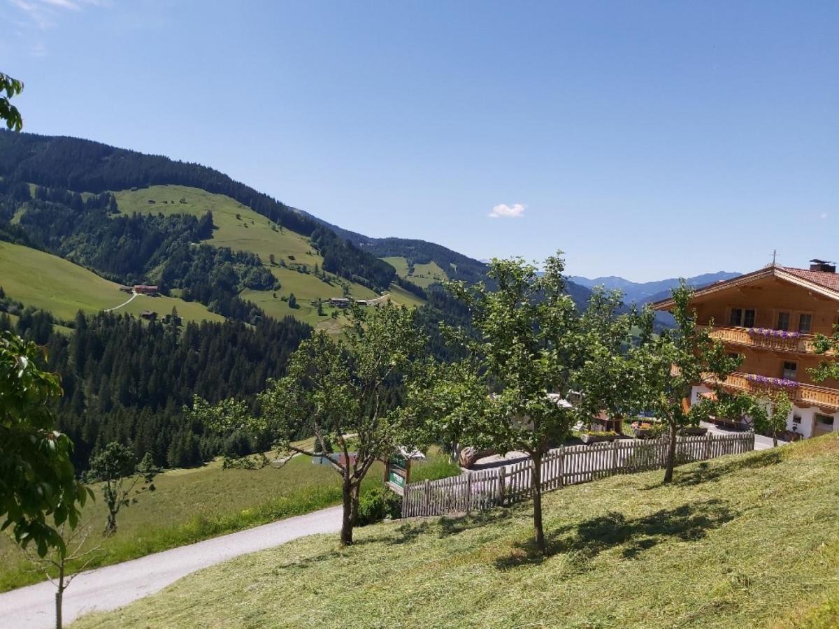 Prädastenhof Auffach Exteriör bild